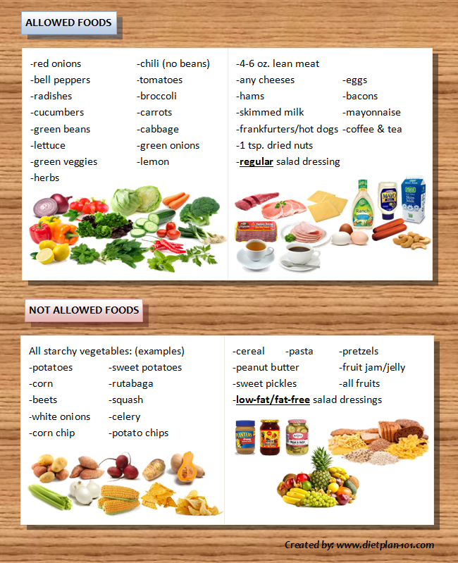 Low Carb Diet Foods List Vegetables For Dogs Dfposts low-carb-diet-foods-list-vegetables-for-dogs-dfposts