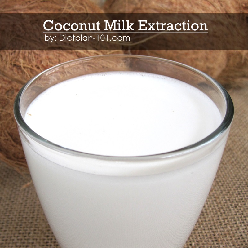 How to Extract Coconut Milk from Fresh Coconut Diet Plan 101