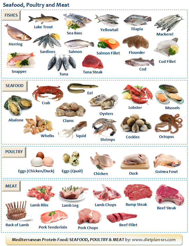 Seafood Chart