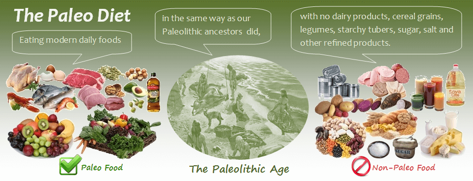 The Paleo Diet: Eating Modern Daily Foods in the Paleolithic Lifestyle